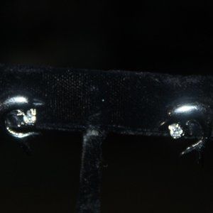 Silver Dolphin earrings with Rhinestone (cute)